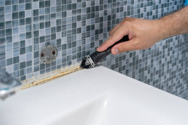 Best Attic Mold Removal  in Senath, MO